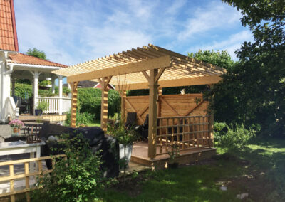 Pergola lärkträ